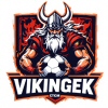 Albertfalvi Vikingek