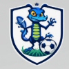 Birmingham Lizards