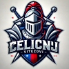 Čelični Vitezovi