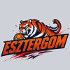 Esztergomi Tigrisek