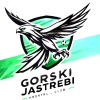 Gorski Jastrebi