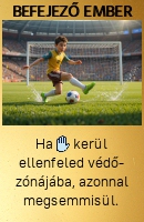 Befejező ember