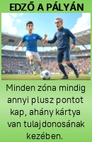 Edző a pályán