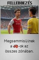 Fellebbezés