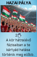 Hazai pálya