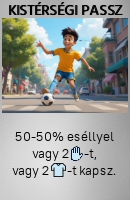 Kistérségi passz