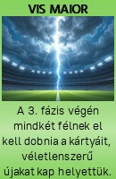 Vis maior